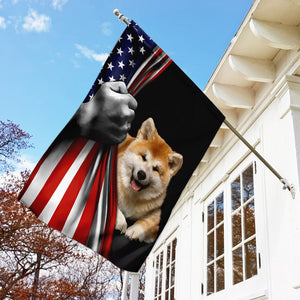 Akita American U.S. Flag TRL772Fv29