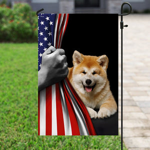 Akita American U.S. Flag TRL772Fv29