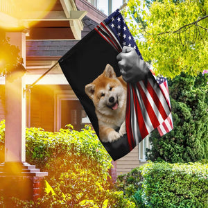 Akita American U.S. Flag TRL772Fv29